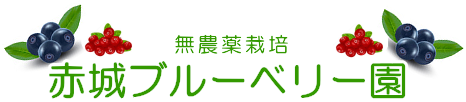 赤城ブルーベリー園